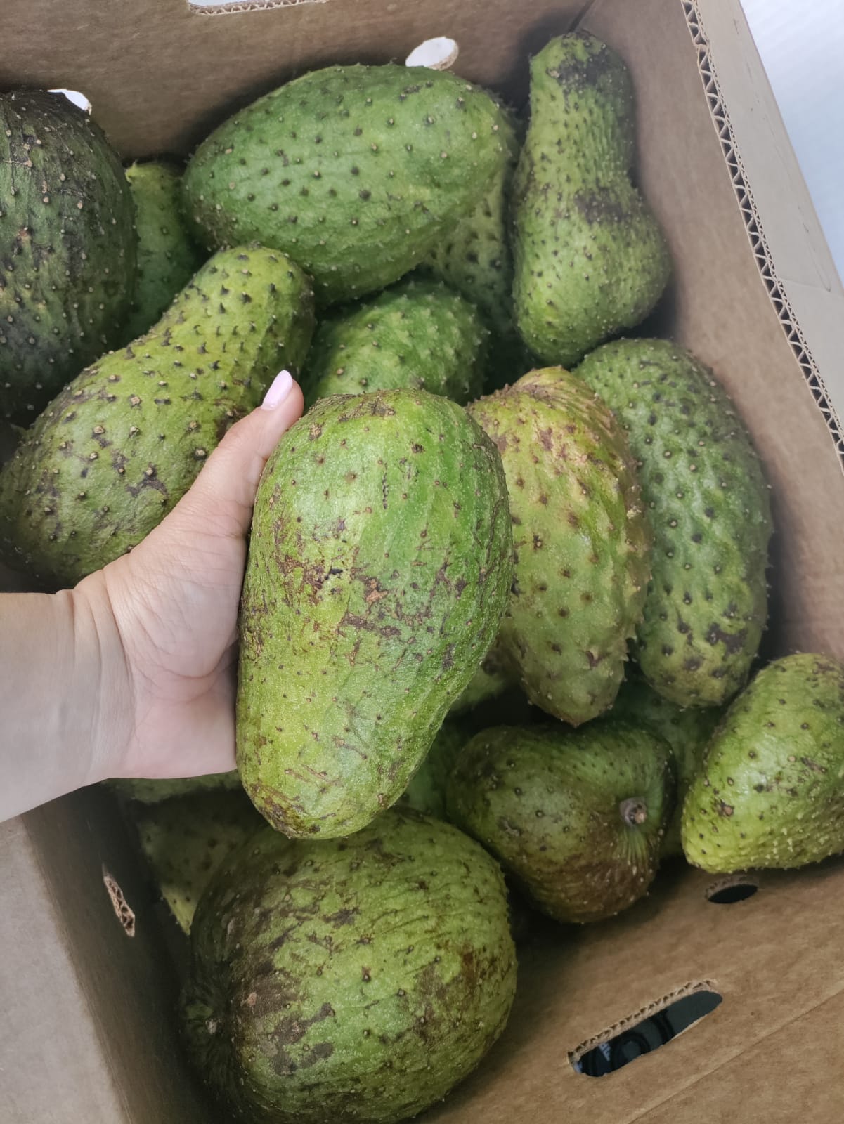 Guanabana - Soursop