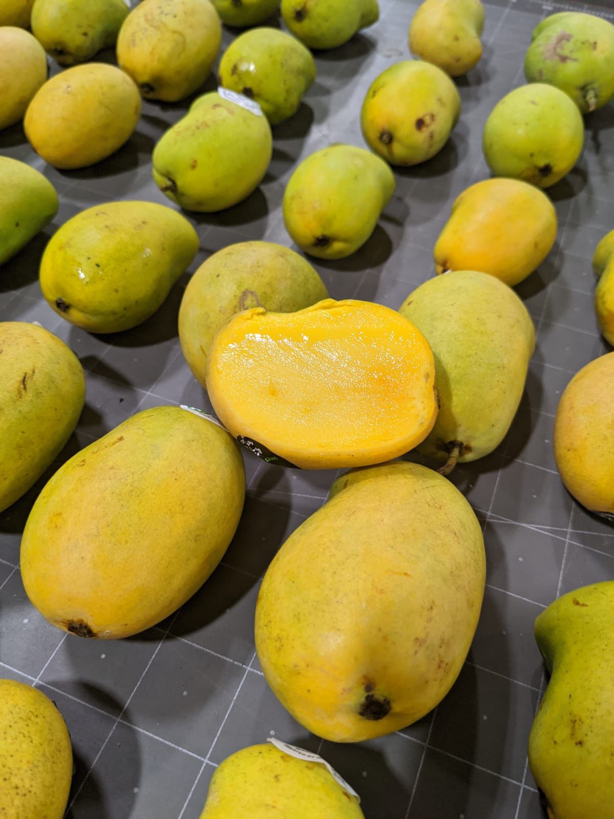 Mango Ataulfo